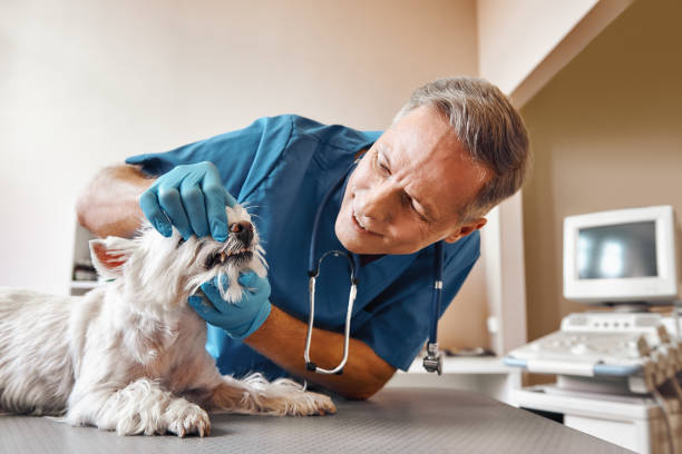Best Pediatric Emergency Dentist in Richwood, NJ